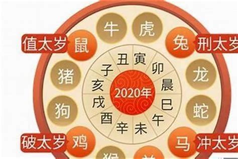 虎年 2023|2023年属虎不同年龄运势分析及每月运程详解大全 (收藏完整版)